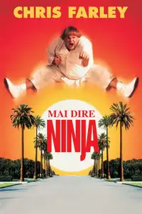 Mai dire ninja (1997) - Film Streaming HD