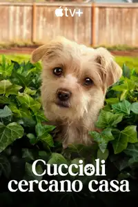 Cuccioli cercano casa (2021) - Serie TV Streaming HD