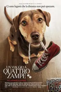 Un viaggio a quattro zampe (2019) - Film Streaming HD
