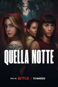 Quella notte (2026) - Serie TV Streaming HD