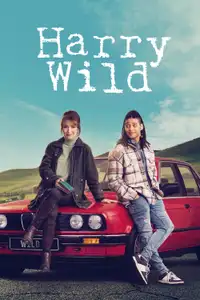 Harry Wild - La signora del delitto (2022) - Serie TV Streaming HD