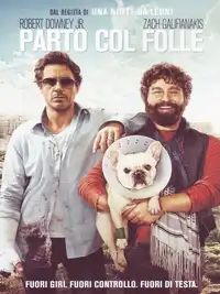 Parto col folle (2010) - Film Streaming HD