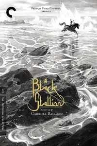 Black Stallion (1979) - Film Streaming HD