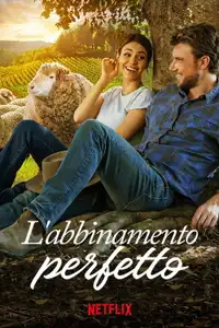 L'abbinamento perfetto (2022) - Film Streaming HD