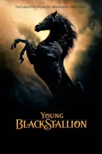 Young Black Stallion (2003) - Film Streaming HD