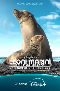 Leoni marini delle Galapagos – Una nuova casa per Leo (2025) - Film Streaming HD