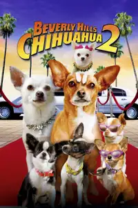 Beverly Hills Chihuahua 2 (2011) - Film Streaming HD