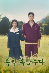 Quando la vita ti dà mandarini (2025) - Serie TV Streaming HD