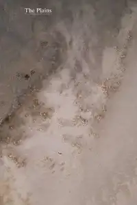 The Plains (2022) - Film Streaming HD