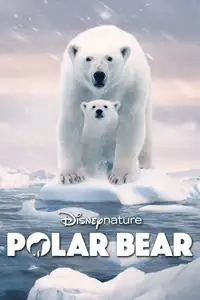 Polar Bear (2022) - Film Streaming HD