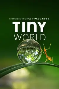 Tiny World (2020) - Serie TV Streaming HD
