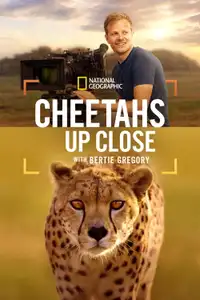 Cheetahs Up Close with Bertie Gregory (2026) - Film Streaming HD