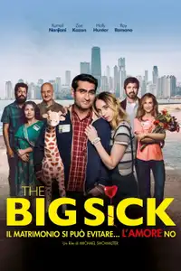 The Big Sick - Il matrimonio si può evitare... l'amore no (2017) - Film Streaming HD