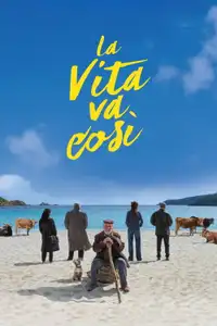 La vita va così (2025) - Film Streaming HD