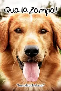 Qua la zampa! (2017) - Film Streaming HD