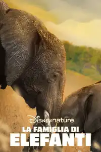 La famiglia di elefanti (2020) - Film Streaming HD