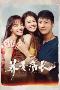 荞麦疯长 (2020) - Film Streaming HD