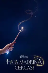 Fata madrina cercasi (2020) - Film Streaming HD