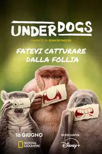 Underdogs (2025) - Serie TV Streaming HD