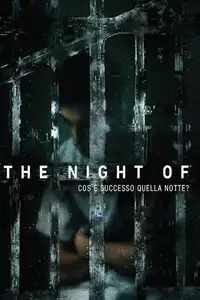 The Night of - Cosa è successo quella notte? (2016) - Serie TV Streaming HD