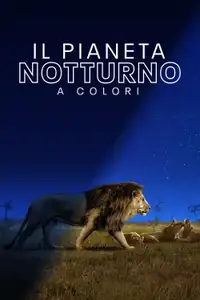 Il pianeta notturno a colori (2020) - Serie TV Streaming HD