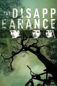The Disappearance (2017) - Serie TV Streaming HD