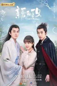亲爱的吾兄 (2021) - Serie TV Streaming HD