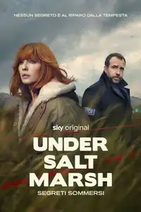 Under Salt Marsh - Segreti sommersi (2026) - Serie TV Streaming HD