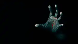 Stalker & ossessione